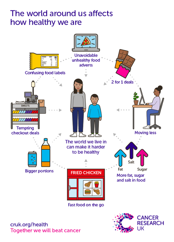 Cancer Research infographic on how 'The World Around Us Affects How Healthy We Are'.